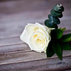 fwthumbbuttonhole-1.jpg