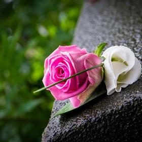 fwthumbbuttonhole3-1.jpg