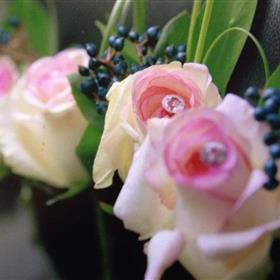 fwthumbbuttonholes2-1.jpg