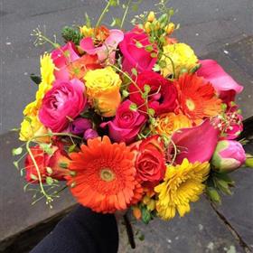 fwthumbIMG_0155-1.jpg